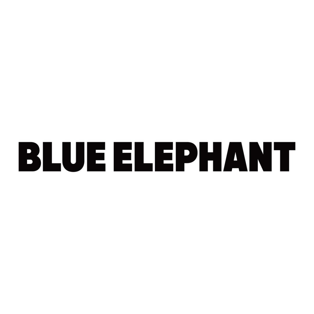 blueelephant logo